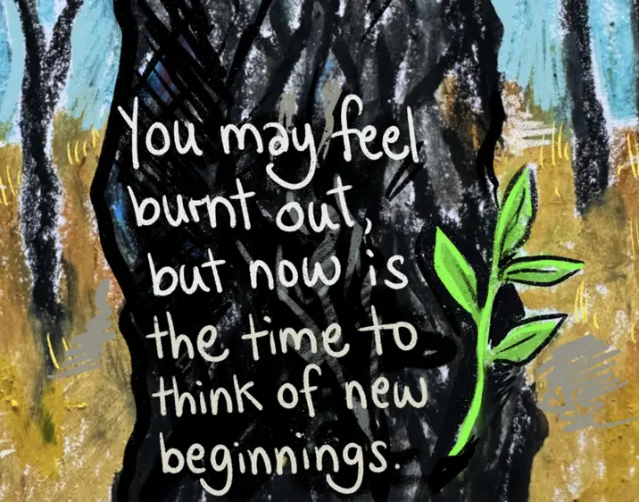 Feeling burnt out? A bush blessing for the end of the year | Jess Harwood | The Guardian